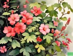 2025年6月份开花的植物