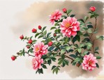 2025年伊朗国花是什么花