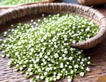 2025年茉莉花茶怎样制作