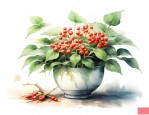 人参花一次喝多少
