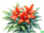 怎样养炮仗花