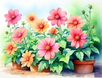 夏天可以种什么花容易活