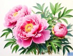 牡丹花可以用种子种吗