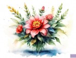送兄长什么花好