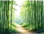 竹子是树还是草求答案