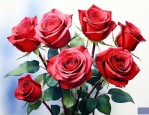 14朵玫瑰花代表什么