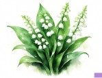 铃兰花花的花语