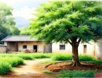 农村庭院里种什么树好