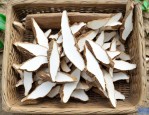白芨种子是一斤多少钱