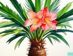 家里铁树开花什么意思
