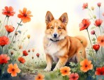 狗尾巴花的花语是什么