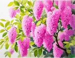 2025年流苏花有几种颜色