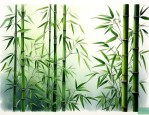叶子和竹子很像的植物