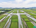 2025年江西兰引3号基地