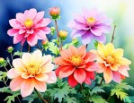 什么花在上午6点开放
