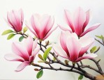 木兰花和玉兰花一样吗