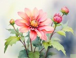 属于有限花序的有哪些