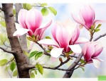 玉兰花树结果有什么用