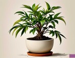 2025年盆栽植物造型设计