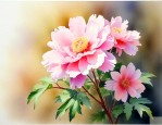什么花在下午四点开花
