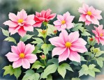2025年扬州市花是什么花