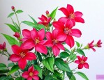 红豆鲜花可以放室内吗