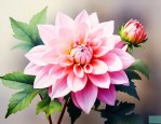 什么花很久才开一次花