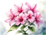 紫荆花是哪个省的省花