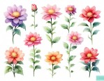 花的种类 花语