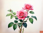 扦插月季花的最佳时间