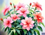 开花的花哪种好养室内