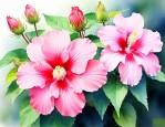 芙蓉是什么季节开的花