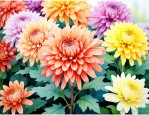秋天除了菊花还有什么花