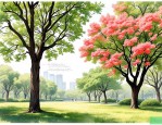 2025年北京哪里有合欢树