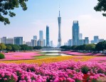 广州花都有什么好玩的