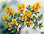 2025年金枝玉叶花有毒吗
