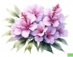 大花紫薇寓意