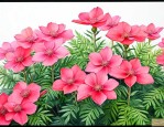 满江红属于蕨类植物吗