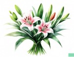 铁炮百合花束