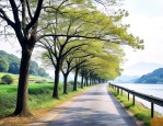 浙江路边的树是什么树