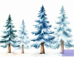 雪松树多少钱