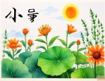 小暑节气的植物有哪些