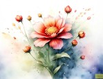 花朵怎么传播种子