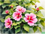 2025年芙蓉花几月份休眠