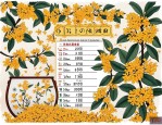 2025年干桂花一斤价格表