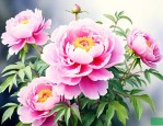 牡丹花卉什么时候开始