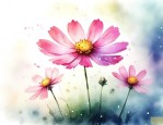 格桑花什么时候种合适