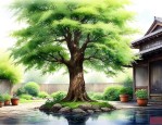 庭院种什么树最旺风水