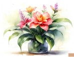 奥斯卡花怎么养