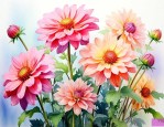 鲜花给生活带来了什么